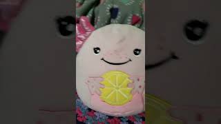 Squishmallow edit edit [upl. by Wight]