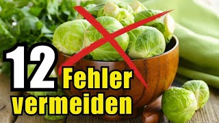 Vermeide diese 7 fatalen Fehler beim Rosenkohl – so wird er perfekt [upl. by Eiroj318]