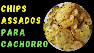 Lanche pra cachorro Chips de Batata Doce e Inhame assados Receita boa pra cachorro [upl. by Eelrebma925]