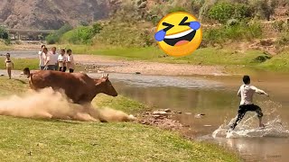 TRY NOT TO LAUGH 😆 Best Funny Videos Compilation 😂😁😆 Memes PART 228 [upl. by Eiznik]