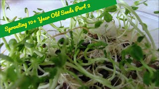 Sprouting Old Seeds Part 2 [upl. by Ettenal]