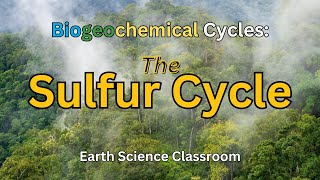 Detailing The Sulfur Cycle [upl. by Bail144]