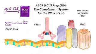 ASCP QampA of Complement System for the Clinical Lab [upl. by Atirihs]