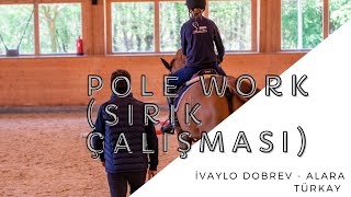 IVAYLO DOBREV  Alara Türkay I Sırık Çalışması Pole Work  At Binme Teknikleri [upl. by Trever680]