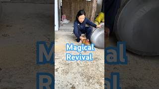 Magic Revival Watch How This NearDead Chicken Comes Back to Life with Just a Pot and Some Taps [upl. by Tecu]