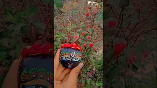 शालीग्राम जी का श्रृंगार कैसे करे  how to do Shaligram ji Shringar at home🙏shorts [upl. by Lemieux418]