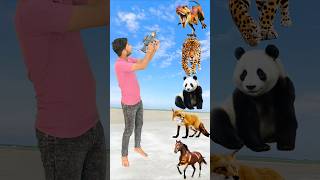 Wilds Animals To Cow Dog buffalos lion goat Name Talking shorts mmmrazz funny comedy [upl. by Ayerf]