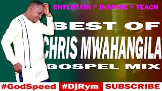 PURE FINESSE Sn 25 BEST OF CHRISTOPHER MWAHANGILA SONGS MIX DJ RYM MR FINESSE [upl. by Luapsemaj]