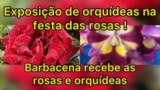 Rosas e Orquídeas em Barbacena MG [upl. by Marduk]