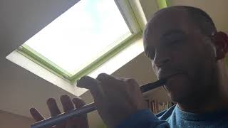 Stolen Kiss tin whistle [upl. by Idolah327]