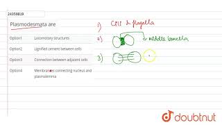 Plasmodesmata are [upl. by Gerard]