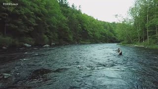 Flocking to the Farmington River  Water flow is perfect for fishing and other activities [upl. by Zilada267]