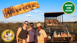 Our experience in the Madikwe Game Reserve  South Africa [upl. by Gnni]