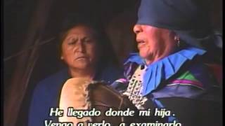 Pelontún machi medicina mapuche [upl. by Dole]