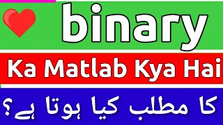 Binary Meaning In Urdu  Binary Ka Matlab Kya Hota Hai  Binary Ka Matlab  Binary Ka Meaning Kya Ha [upl. by Oinotnanauj498]