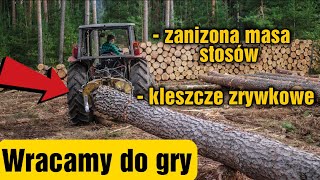 Zaniżana masa stosów i kleszcze zrywkowe  WRACAMY DO GRY  Zwykły dzień w lesie odc6 Okiem ZULa [upl. by Vtehsta]