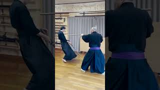 三ツ之止 Mittsu no Tomé Asayama Ichiden Ryu Shunjō Staff Kata [upl. by Gery]