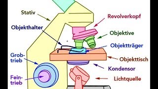 Mikroskop Aufbau Bestandteile [upl. by Hras]