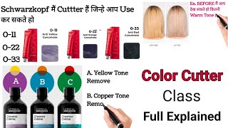 Color Cutter Class Neutralise Unwanted Tone  Full Explained Class By Salonfact [upl. by Tolman]