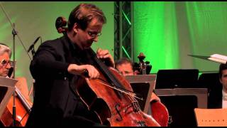 Shostakovich Cadenza Wolfgang Emanuel Schmidt  Cello Akademie Rutesheim [upl. by Ytoc]