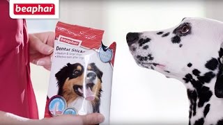 Dental healthcare for dogs  Dental Sticks [upl. by Eisor]