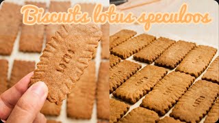 Biscuits Lotus Spéculoos  Speculoos Cookies recipe بسكويت اللوتس الأصلي بطريقة إقتصادية [upl. by Wolpert]