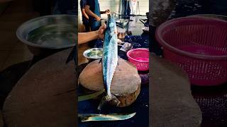 kingfish cutting C water surmai fish Fry cut kingkong shortvideo [upl. by Ranip774]