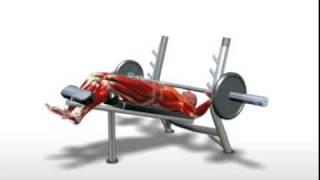 Exercise Videos Barbell Decline Bench Press [upl. by Ardnuaed469]