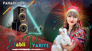 Babli Pyariye Kullvi Dhamaka Pahadi Nonstop Dj Remix Songs 💐 Pahadi Lofi With New Pahadi Song 💐 [upl. by Pickett585]