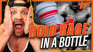 Halotestin  Roid Rage in a Bottle  My Experience [upl. by Rolecnahc619]