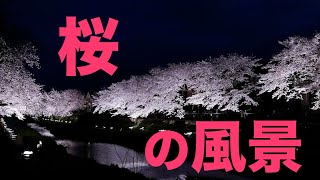 桜のある風景（スライドショー有り） [upl. by Laforge]