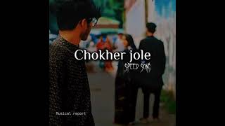 চোখের জলে ভাসিয়ে দিলাম Speed  Reverb Choker Jole Bhasiye Dilam Lofi  Bengali Lofi Mix [upl. by Nylzzaj994]