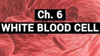 Ch6 WHITE BLOOD CELL  BLOOD PHYSIOLOGY [upl. by Omik794]