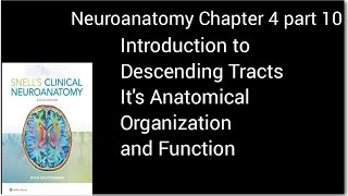 Neuronantomy Chapter 4introduction to Descending TractsAnatomical Organization and FunctionMbbs [upl. by Llecram721]