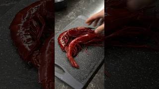 The Most Expensive Prawns  Carabineros 🤌🏻 [upl. by Kristie]