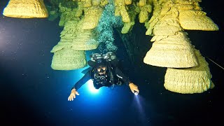 Cenote Zapote Diving  Hells Bells [upl. by Atsirk]