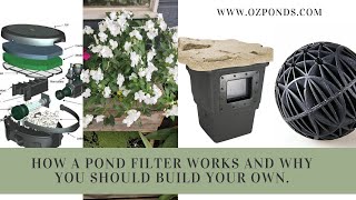 How a pond filter works and why you should build your own [upl. by Yug]