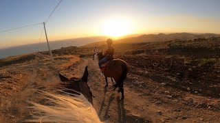 Escursione a cavallo Punta Bianca Agrigento [upl. by Eitsirhc]