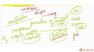 Write about \humification \ and the \mineralisation\ occurring during the process [upl. by Leirrad]