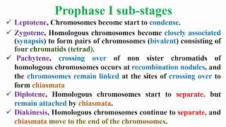 Prophase I Substages in Meiosis I of Meiosis Divisions [upl. by Fin673]