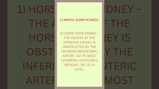 INFERIOR MESENTERIC ARTERY ANATOMY shorts [upl. by Licna]