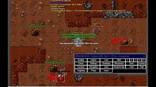 Tibia  CaveBot Elfbot  Como configurar Cavebot no Elfbot [upl. by Yenar271]