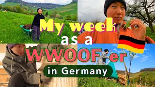 A week of a Japanese WWOOFer in Germany  日本人がドイツでWWOOFingしてみた。 [upl. by Camfort]