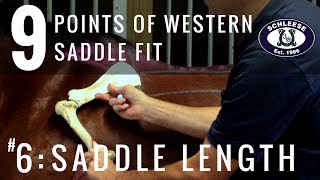 Tip 6 Saddle Length  The 9 Points of Western Saddle Fit [upl. by Horwath]