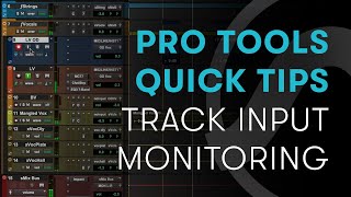 Pro Tools Quick Tip  Disable playback of mute automation [upl. by Perri652]