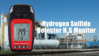 TK338PLUS Hydrogen Sulfide Detector H₂S Monitor [upl. by Euqinom]