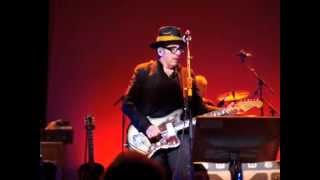 Elvis Costello Live quotOlivers Armyquot [upl. by Werdma764]