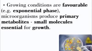 Biotechnology  ALevel A2 Biology Revision [upl. by Bartle]