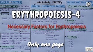 Erythropoiesis4Necessary Factors for Erythropoiesis [upl. by Bocaj]