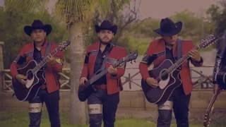 Los Bohemios de Sinaloa ft Los Del Arroyo quotYa Nadie Quiere Servirquot Video Oficial [upl. by Dorelle]